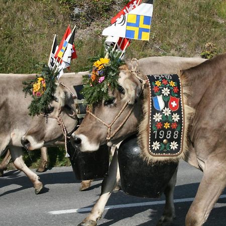 T3 Hotel Mira Val Flims Kültér fotó